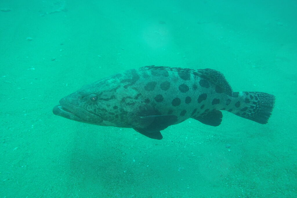 0a9429cb-ef0a-4c7b-b141-f321b62681cc