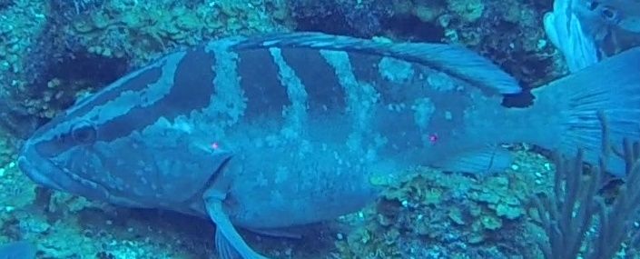 e3b3f426-84f6-4b06-a64b-2aadc5f3282d