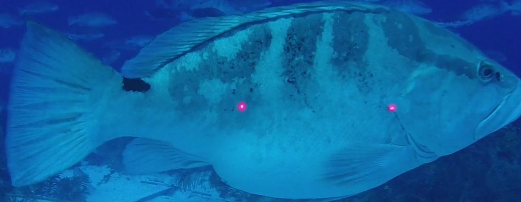 6f5d38ca-df11-46db-9d9a-8cadde83c28c