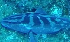 e3b3f426-84f6-4b06-a64b-2aadc5f3282d