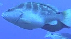 e3b3f426-84f6-4b06-a64b-2aadc5f3282d