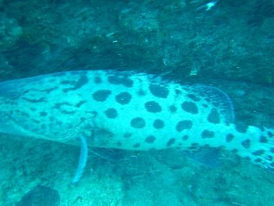 0a9429cb-ef0a-4c7b-b141-f321b62681cc