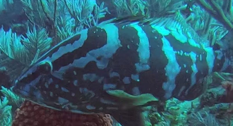 ebae54f8-f46e-47b8-9da6-38204330533a