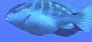 e3b3f426-84f6-4b06-a64b-2aadc5f3282d