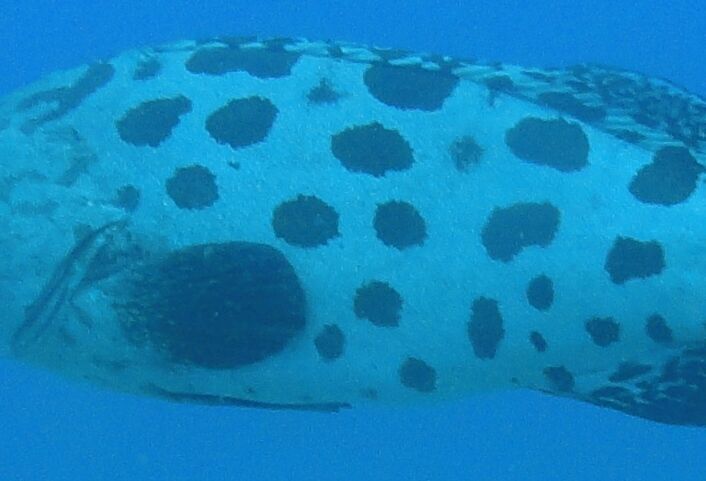 0a9429cb-ef0a-4c7b-b141-f321b62681cc