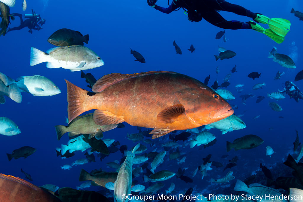 4c03ff08-9380-4658-bd57-afac2de434c6