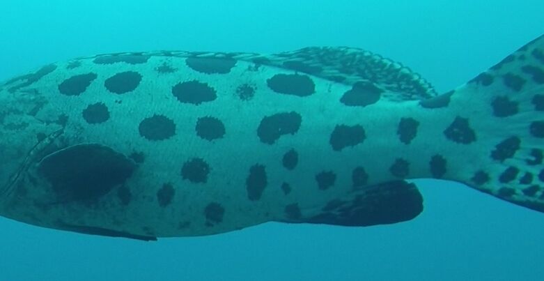 0a9429cb-ef0a-4c7b-b141-f321b62681cc